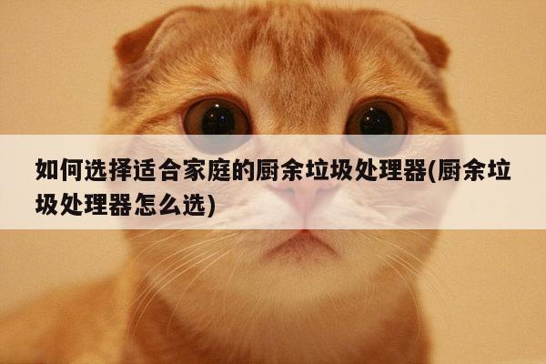 如何選擇適合家庭的廚余垃圾處理器(廚余垃圾處理器怎么選)-b