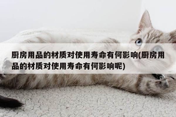 【beat365】廚房用品的材質(zhì)對(duì)使用壽命有何影響(廚房用品