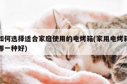 【beat365官網(wǎng)登錄】如何選擇適合家庭使用的電烤箱(家用
