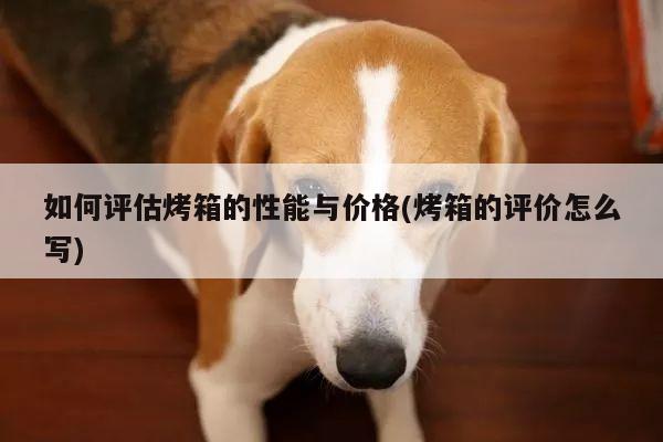 如何評估烤箱的性能與價格(烤箱的評價怎么寫)-beat365
