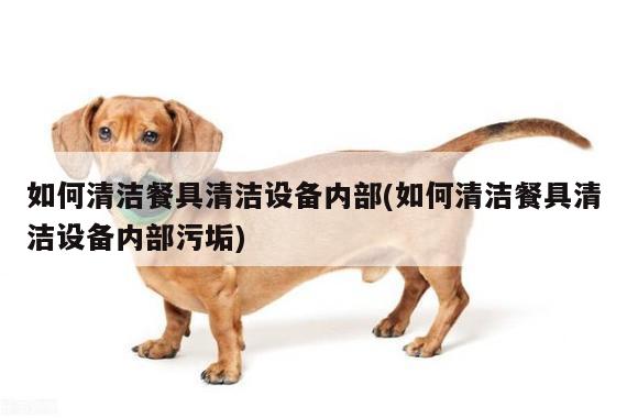 【beat365官網(wǎng)登錄】如何清潔餐具清潔設(shè)備內(nèi)部(如何清潔