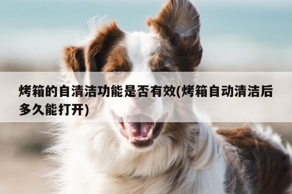烤箱的自清潔功能是否有效(烤箱自動清潔后多久能打開)【bea