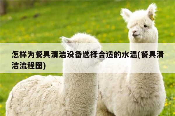 beat365平臺：怎樣為餐具清潔設備選擇合適的水溫(餐具清