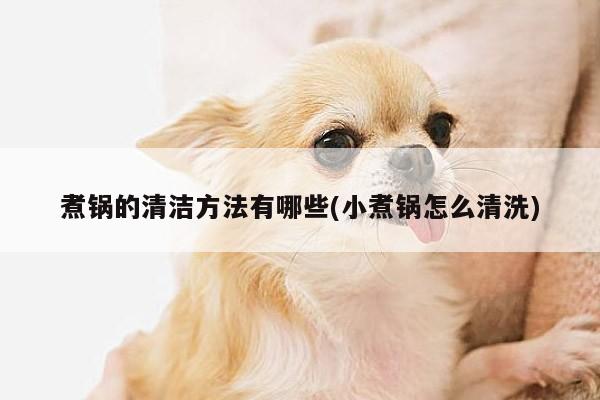 煮鍋的清潔方法有哪些(小煮鍋怎么清洗)|beat365在線體