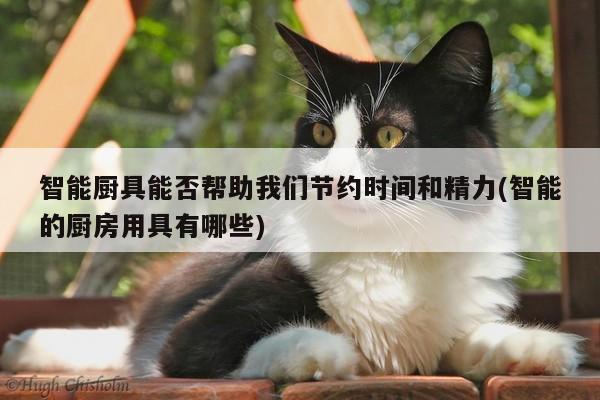 beat365平臺-智能廚具能否幫助我們節(jié)約時間和精力(智能