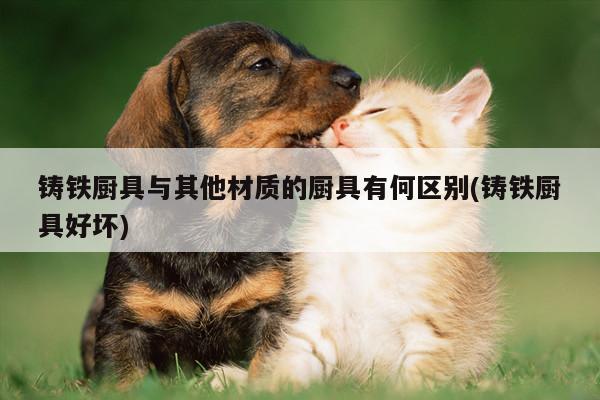 beat365_鑄鐵廚具與其他材質的廚具有何區(qū)別(鑄鐵廚具好