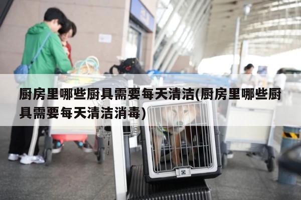 廚房里哪些廚具需要每天清潔(廚房里哪些廚具需要每天清潔消毒)
