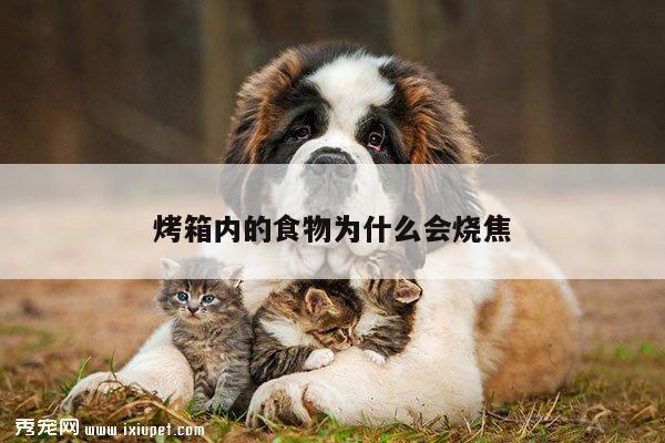 beat365平臺(tái)：烤箱內(nèi)的食物為什么會(huì)燒焦