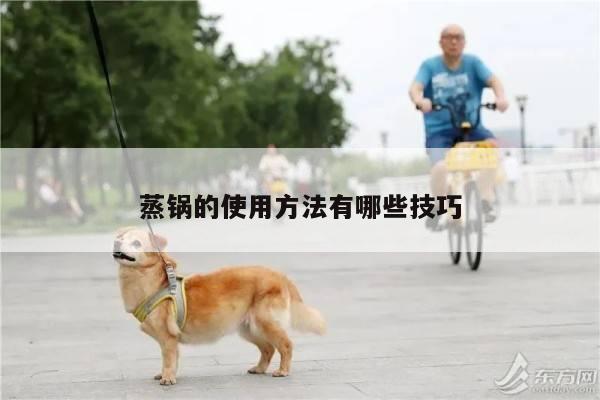 蒸鍋的使用方法有哪些技巧-beat365平臺(tái)
