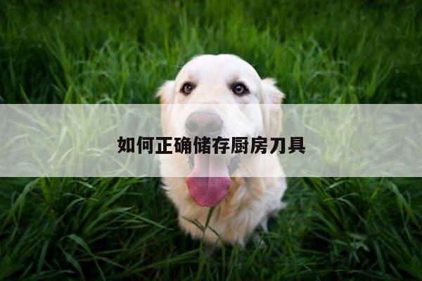 【beat365在線體育】如何正確儲存廚房刀具