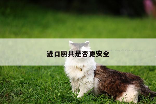 進(jìn)口廚具是否更安全|beat365在線體育