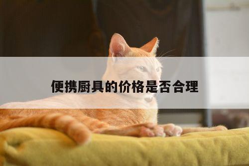 beat365：便攜廚具的價(jià)格是否合理