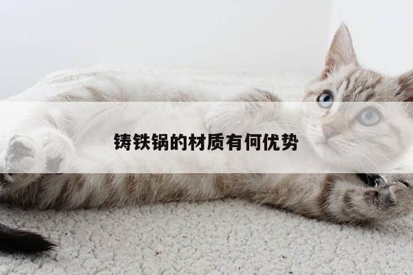 鑄鐵鍋的材質(zhì)有何優(yōu)勢-beat365官網(wǎng)登錄