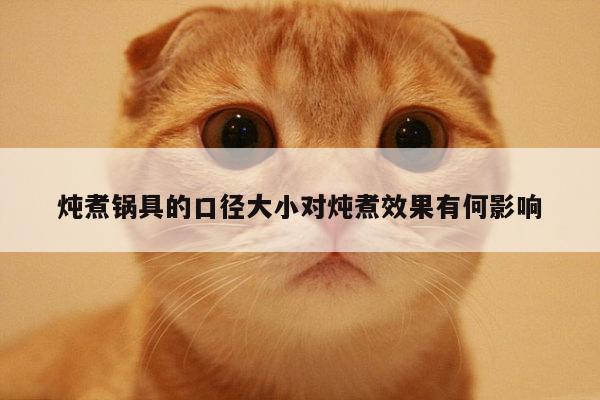 燉煮鍋具的口徑大小對(duì)燉煮效果有何影響_beat365官網(wǎng)登錄