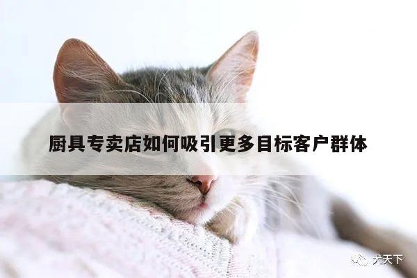 廚具專賣店如何吸引更多目標(biāo)客戶群體_beat365在線體育