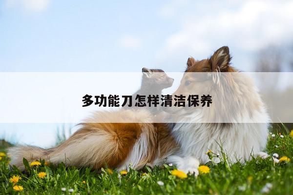 多功能刀怎樣清潔保養(yǎng)_beat365官網(wǎng)登錄