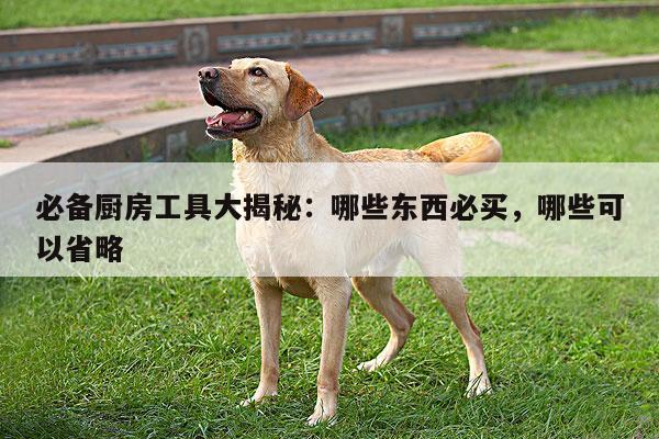 必備廚房工具大揭秘：哪些東西必買，哪些可以省略-beat365官網(wǎng)登錄