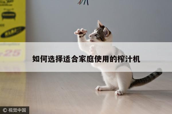 beat365-如何選擇適合家庭使用的榨汁機