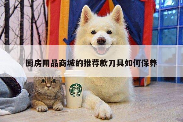 【beat365官網(wǎng)登錄】廚房用品商城的推薦款刀具如何保養(yǎng)